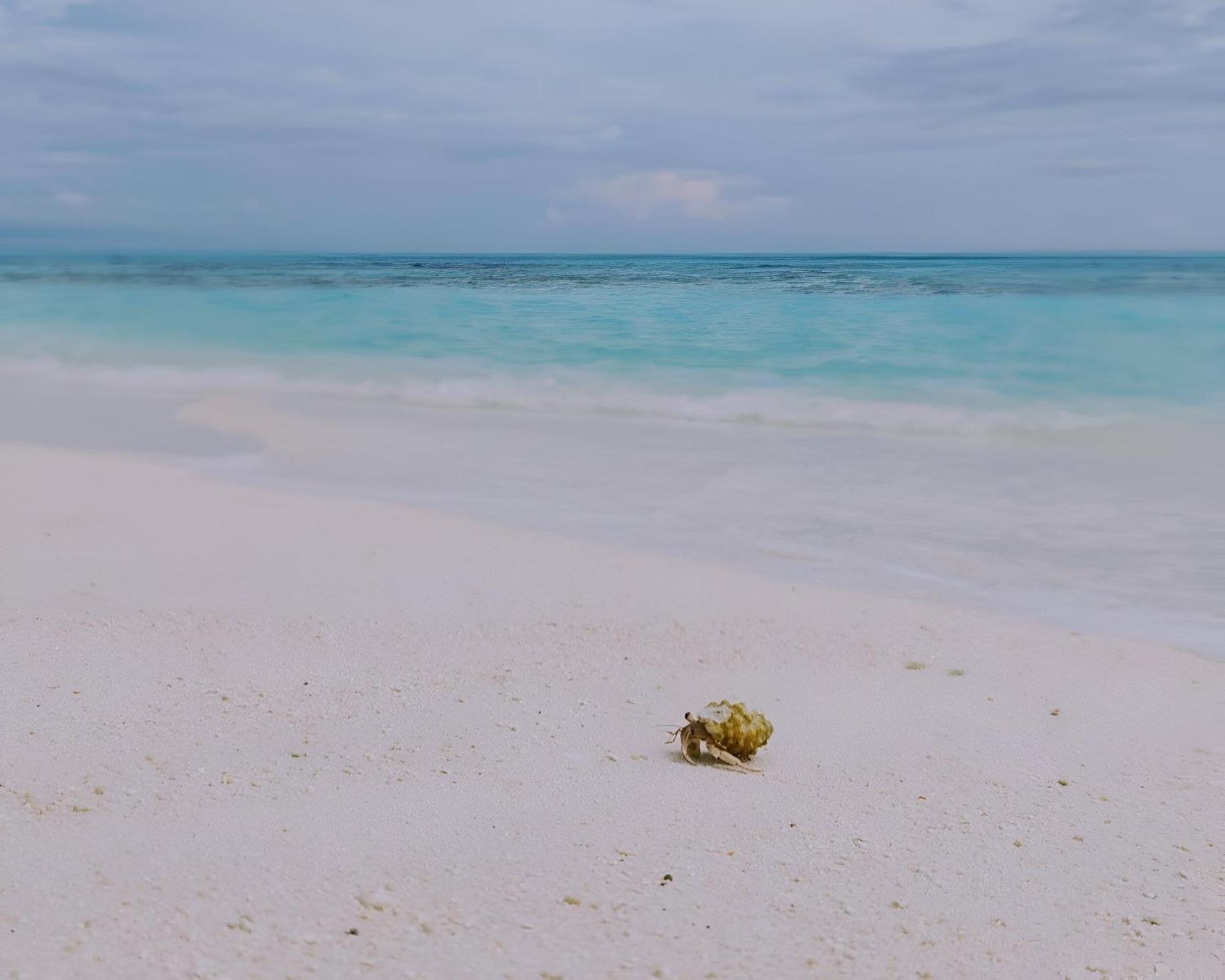 Bougan Villea Retreat Bodufolhudhoo Εξωτερικό φωτογραφία